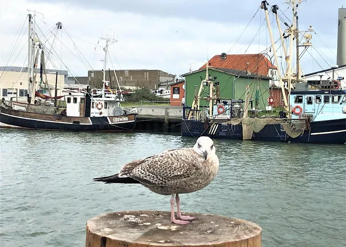 Lägenhet Kutterbude - Bude I